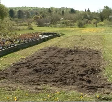 anlegg staudebed anlegg staudebed